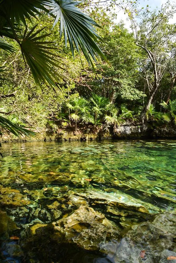 ***  Отель Caleta Tankah Тулум Мексика