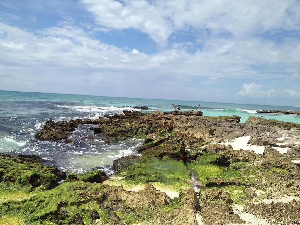 Отель Caleta Tankah Тулум