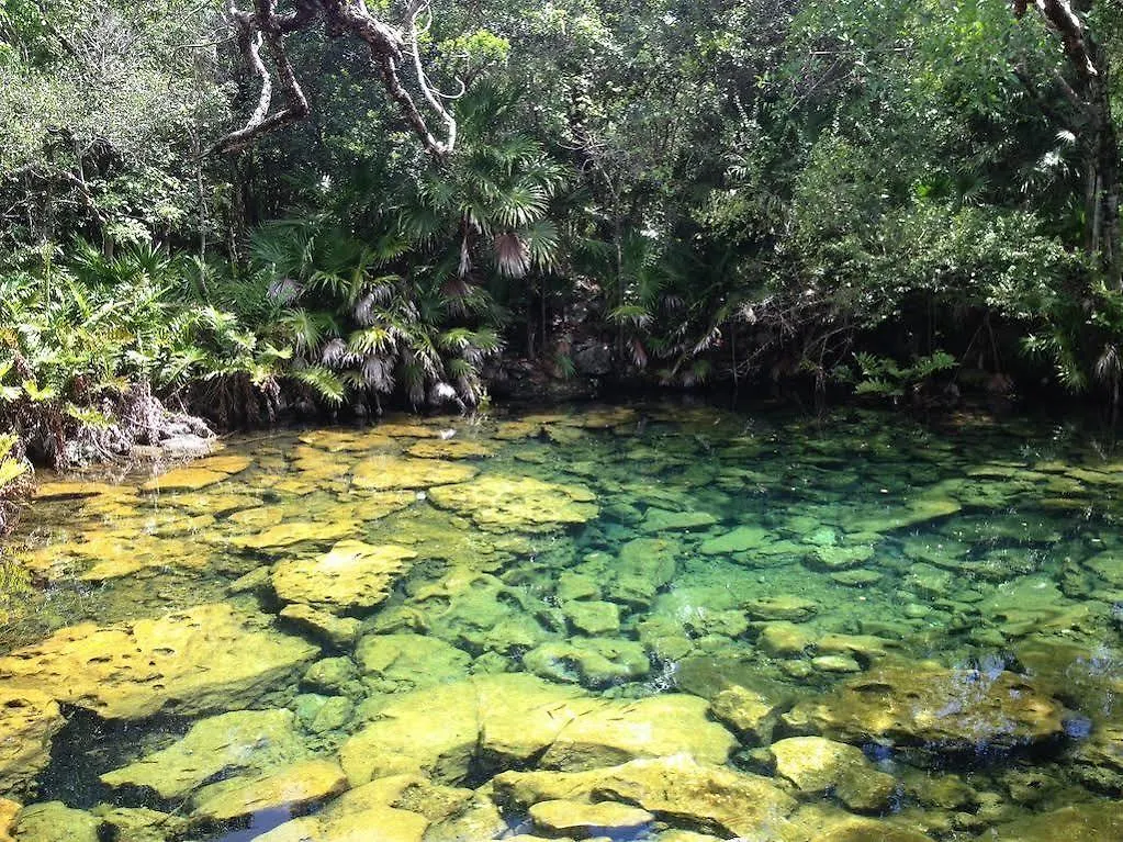 Отель Caleta Tankah Тулум 3*,
